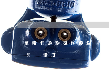 信用卡逾期可以停息還本嗎花旗(終于把信用卡還清了)