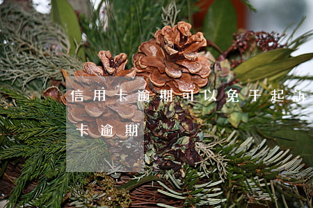 信用卡逾期可以免于起訴嗎 法院不受理信用卡逾期