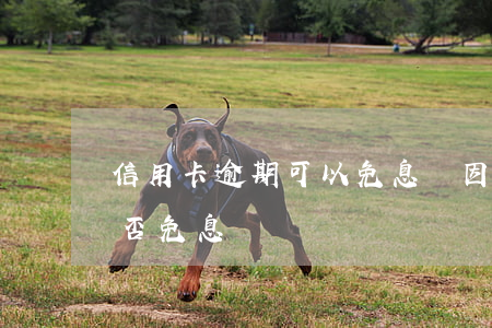 信用卡逾期可以免息嗎(因服刑信用卡逾期可否免息)