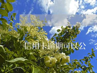信用卡逾期可以公積金嗎