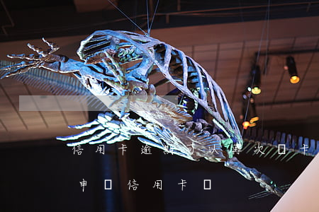 信用卡逾期可以再次辦卡嗎(有一次逾期還能申請信用卡嗎)