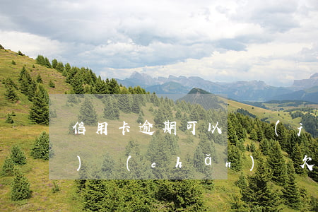 信用卡逾期可以凍結(jié)財(cái)產(chǎn)嗎(欠信用卡逾期會(huì)凍結(jié)銀行卡嗎)