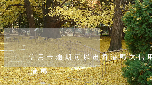 信用卡逾期可以出香港嗎 欠信用卡可以去香港嗎