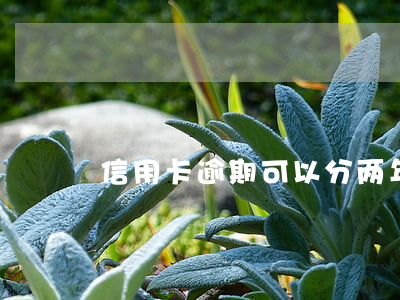 信用卡逾期可以分两年还吗