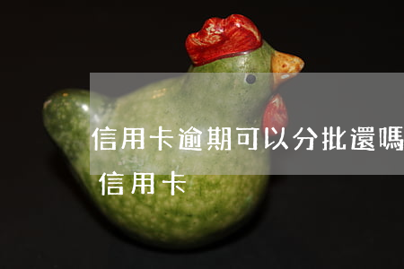 信用卡逾期可以分批還嗎-逾期還可以批的信用卡