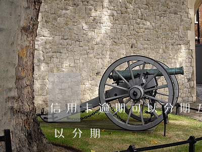 信用卡逾期可以分期五年(信用卡逾期兩年可以分期還嗎)