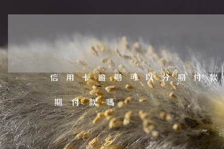 信用卡逾期可以分期付款車嗎 逾期買車能分期付款嗎