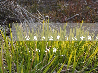 信用卡逾期可以分期做豐胸嗎 逾期的信用卡可以分期嗎
