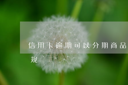 信用卡逾期可以分期商品吗(分期卡逾期新法规)
