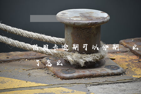 信用卡逾期可以分期還么(分期的信用卡逾期了怎么辦)