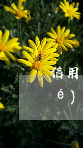 信用卡逾期可以到柜臺(tái)協(xié)商嗎-他行逾期已協(xié)商怎樣才能不影響其他信用卡