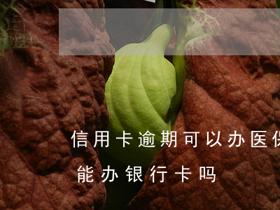 信用卡逾期可以办医保卡吗(有信用卡逾期还能办银行卡吗)