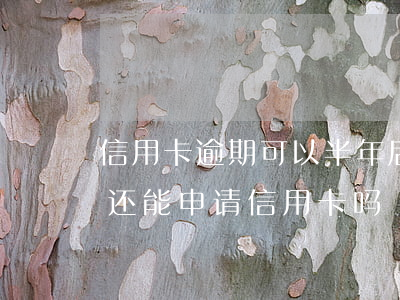 信用卡逾期可以半年后还吗(逾期半年还清了还能申请信用卡吗)