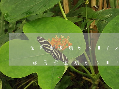 信用卡逾期可以協(xié)商停止還款嗎(信用卡逾期可以協(xié)商停止還款嗎)