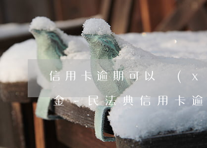 信用卡逾期可以協(xié)商免利息滯納金-民法典信用卡逾期可以協(xié)商嗎