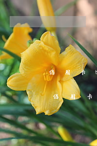 信用卡逾期可以協(xié)商免息分期嗎(信用卡逾期能協(xié)商分期減免利息嗎)