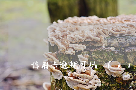 信用卡逾期可以協(xié)商免違約金嗎