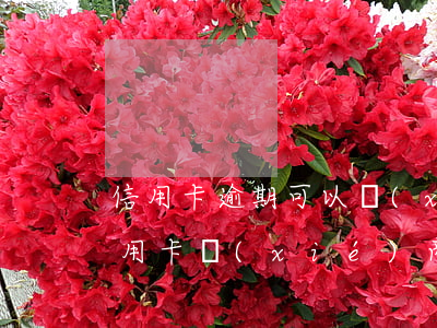 信用卡逾期可以協(xié)商慢慢還嗎(信用卡協(xié)商后又逾期還能協(xié)商嗎)