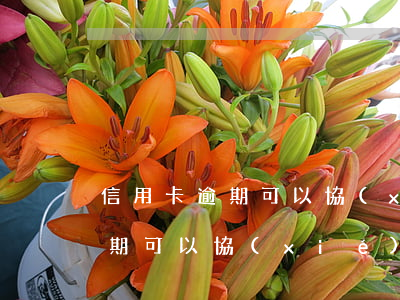 信用卡逾期可以協(xié)商還(信用卡逾期可以協(xié)商還本金嗎讓別人代協(xié)商)