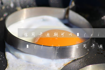 信用卡逾期可以協(xié)商還本金嗎廣發(fā)-信用卡逾期可以協(xié)商還本金嗎廣發(fā)銀行