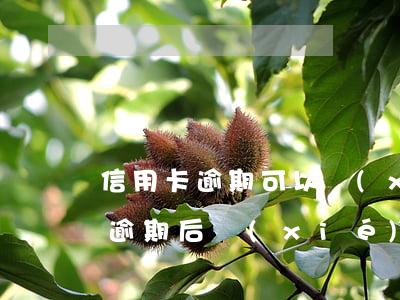信用卡逾期可以協(xié)商還款(信用卡逾期后協(xié)商還款后還是逾期了怎么辦)