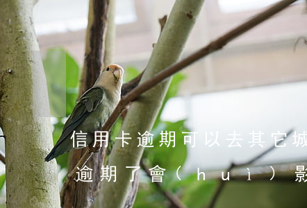 信用卡逾期可以去其它城市打工嗎(我信用卡逾期了會(huì)影響工作嗎)