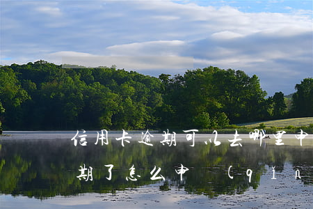 信用卡逾期可以去哪里申請(qǐng)(逾期了怎么申請(qǐng)信用卡)