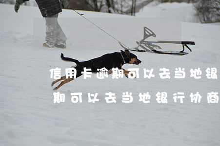 信用卡逾期可以去当地银行协商-信用卡逾期可以去当地银行协商吗