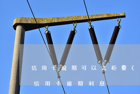 信用卡逾期可以去柜臺(tái)談利息嘛(信用卡 逾期利息)