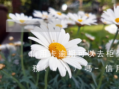 信用卡逾期可以去柜臺辦理其他業(yè)務(wù)嗎-信用卡逾期可以去柜臺辦理其他業(yè)務(wù)嗎