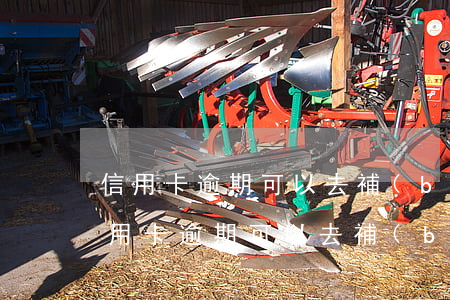 信用卡逾期可以去補(bǔ)辦儲蓄卡嗎(信用卡逾期可以去補(bǔ)辦儲蓄卡嗎多少錢)