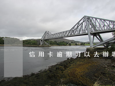 信用卡逾期可以去辦嗎(逾期了能辦信用卡嗎)