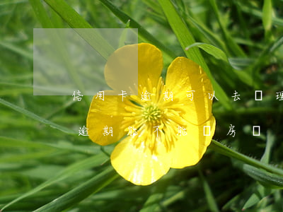 信用卡逾期可以去辦理房貸嗎(有一個信用卡逾期能不能辦房貸)