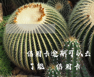 信用卡逾期可以去銀行消除嗎 銀行逾期還清了能辦信用卡嗎