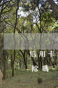 信用卡逾期可以去銀行申請(qǐng)消除嗎-信用卡逾期可以去銀行申請(qǐng)消除嗎