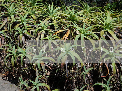 信用卡逾期可以去開戶行協(xié)商嗎-信用卡逾期可以去開戶行協(xié)商嗎