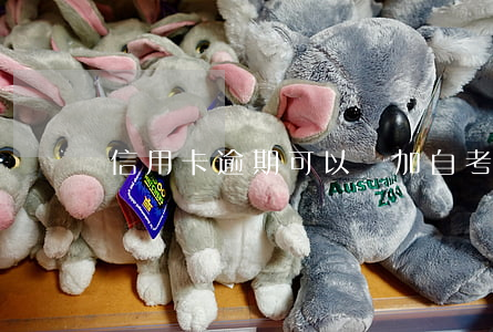 信用卡逾期可以參加自考嗎