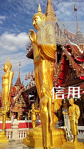 信用卡逾期可以取消嗎