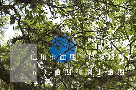 信用卡逾期可以取錢嗎(信用卡取現(xiàn)逾期和刷卡逾期)