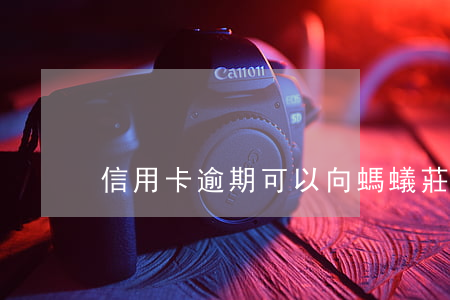 信用卡逾期可以向螞蟻莊園提問