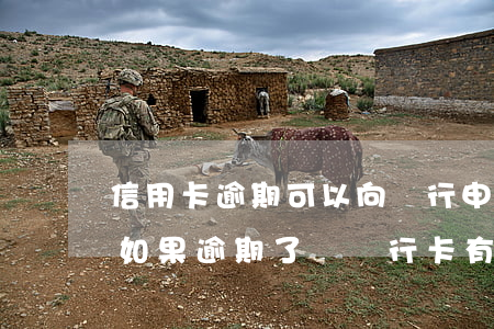 信用卡逾期可以向銀行申請抹掉嗎(辦信用卡如果逾期了對銀行卡有影響嗎)