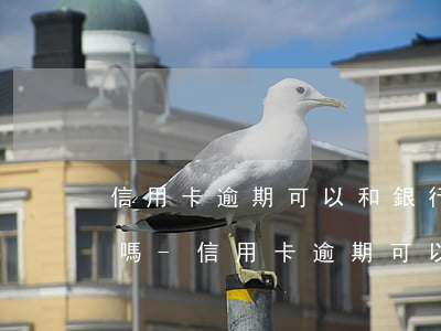 信用卡逾期可以和銀行協(xié)商減免嗎-信用卡逾期可以和銀行協(xié)商減免嗎