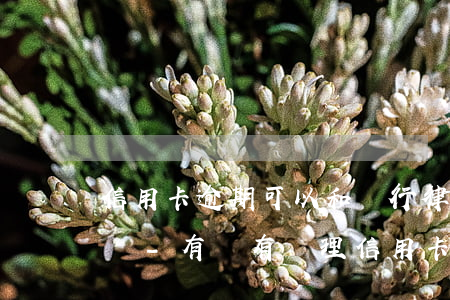 信用卡逾期可以和銀行律師協(xié)商嗎-有沒有處理信用卡逾期的律師