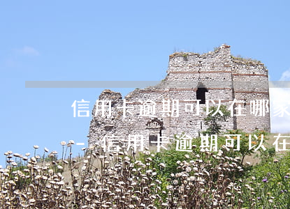 信用卡逾期可以在哪家平臺(tái)借錢-信用卡逾期可以在哪家平臺(tái)借錢呢