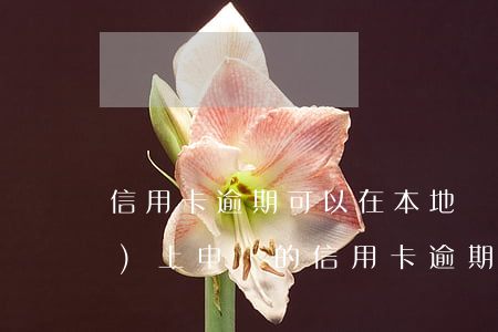信用卡逾期可以在本地報案嗎(網(wǎng)上申請的信用卡逾期了會怎么樣)