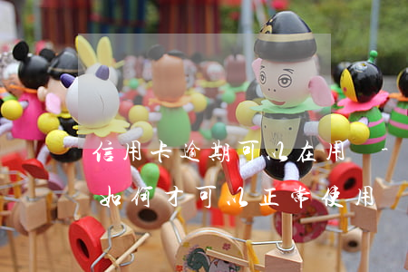 信用卡逾期可以在用嗎-逾期以后的信用卡如何才可以正常使用
