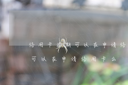 信用卡逾期可以在申请信用卡么 信用卡逾期可以在申请信用卡么