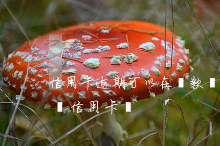 信用卡逾期可以在貸款嗎 貸款有過逾期可以辦信用卡嗎