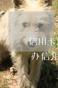 信用卡逾期可以在贷款吗 贷款有过逾期可以办信用卡吗