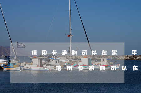 信用卡逾期可以在黑貓平臺(tái)投訴嗎-信用卡逾期可以在黑貓平臺(tái)投訴嗎有用嗎